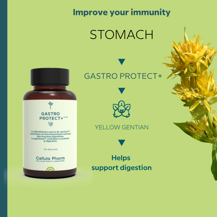 Gastro Protect Cellula Pharm